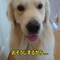 その場にお座り