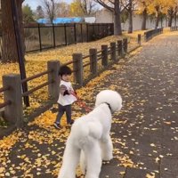 ハンモックを揺らす大型犬