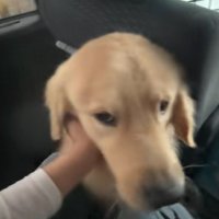 「襲ってきてない！？」