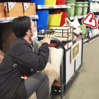 今度は降りられない！？