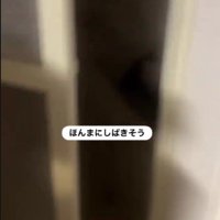 物音が聞こえて…