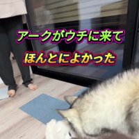 それでも愛おしい…