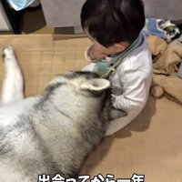 座る赤ちゃんに体を預ける犬