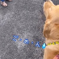 犬が声を出している様子