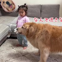 「なんで返さないの！」
