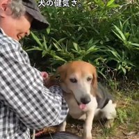 ルビちゃんとおばあちゃん