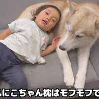 泣いたり笑ったり…