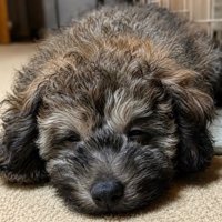 眠る大地くん