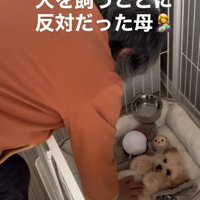 目が離せなくなるほどの溺愛ぶり