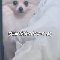 状況が理解できない…！？