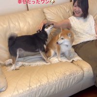 お姉ちゃん帰省時の小春ちゃん＆小太郎くん2