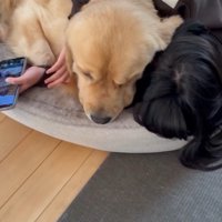 ずっとそばにいてくれました♡