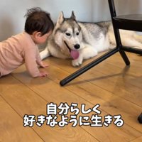 愛溢れる光景にホッコリ