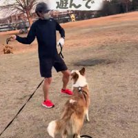 休日はイギーちゃんと過ごす
