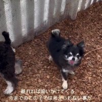 素敵な笑顔に涙が止まらない