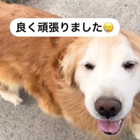 お留守番がんばったね♪