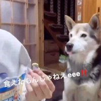 ブーッと吹き出すフリ