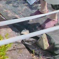 ジブリの世界のよう