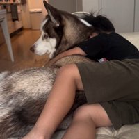 男の子を慰めるウルくん5