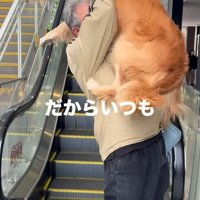 大型犬を抱き上げる投稿主