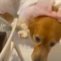 リングを落としちゃってた！！