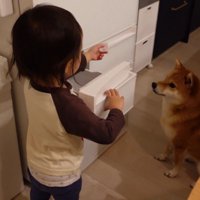 「最後はやっぱり氷だね」