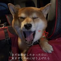 はなまる君の猛抗議6