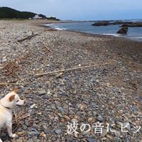 海に近付いたら、波の音にびっくり