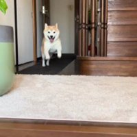家族が帰宅したとき