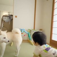 おまめちゃんと赤ちゃん