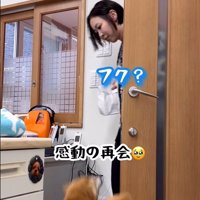 元シッターさんが登場