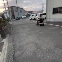 遠ざかっていくシニアカーを見つめる犬