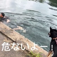 叫び続ける犬