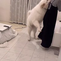 渾身のタックル！！