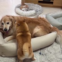 追い出されたうにくん