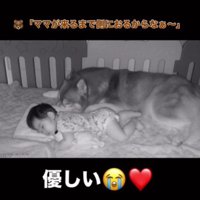 母性あふれる行動に涙…