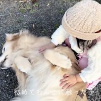 思わずほっこり