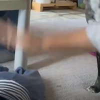 お尻を叩く手