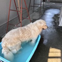 「そろそろ出ようかな？」