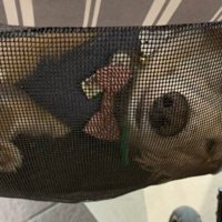 ネットに張り付いて2人を凝視