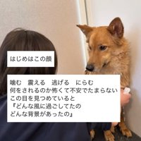 隅に逃げる