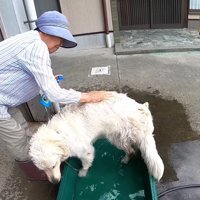 ガッシガッシと泡立てて…