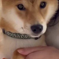 仲良くダンスを楽しむことも