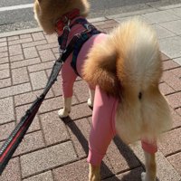 スタイルのよさが際立ってる♡