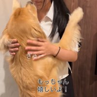 ハグする大型犬