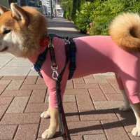 全体的にピチピチ！？