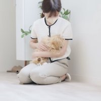 女性に抱っこされる犬