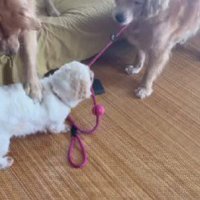 「イタズラはダメ！！」