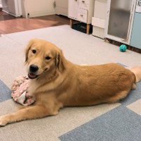 家族が帰ると…