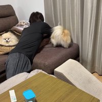 ボールを取ってもらいたいクララちゃん3